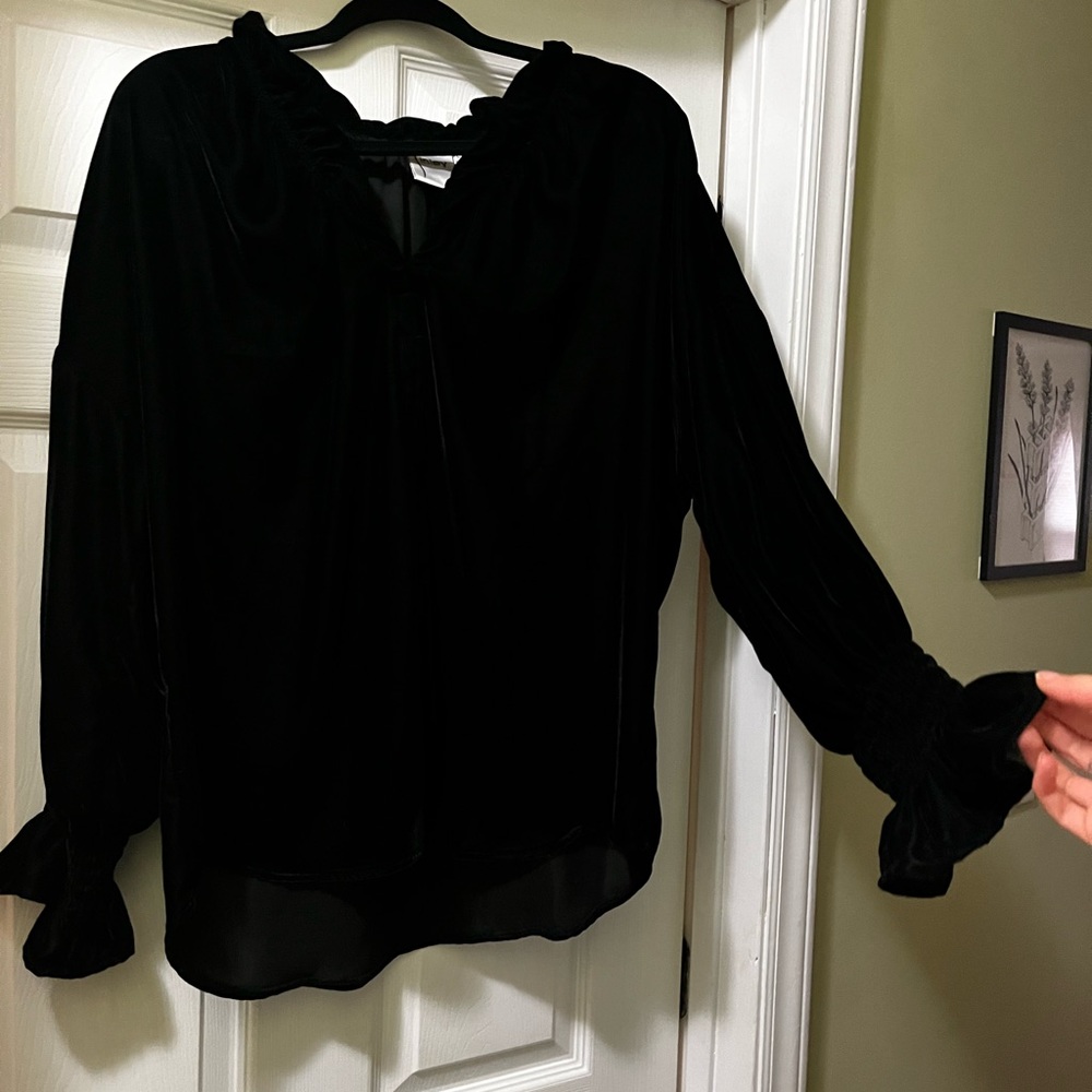 Finley Velvet Ruffle Sleeve Blouse